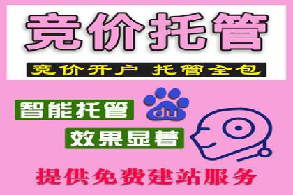 sem竞价推广托管的成功之路